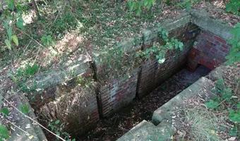 Zdjęcie opuszczonego miejsca: Stacja kolejowa Trzciel