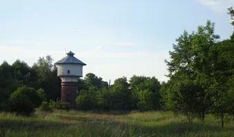 Zdjęcie opuszczonego miejsca: Stacja kolejowa Trzciel