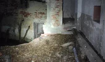 Zdjęcie opuszczonego miejsca: Dwór w Borzysławicach