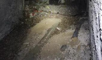 Zdjęcie opuszczonego miejsca: Dwór w Borzysławicach