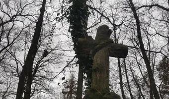 Zdjęcie opuszczonego miejsca: Zabytkowy cmentarz z przełomu XIX-XX wieku