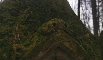 Zdjęcie opuszczonego miejsca: Zabytkowy cmentarz z przełomu XIX-XX wieku