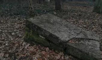 Zdjęcie opuszczonego miejsca: Zabytkowy cmentarz z przełomu XIX-XX wieku