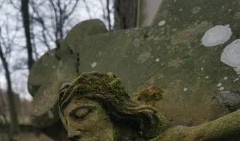 Zdjęcie opuszczonego miejsca: Zabytkowy cmentarz z przełomu XIX-XX wieku