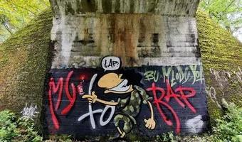 Zdjęcie opuszczonego miejsca: Most Cygański w Katowicach