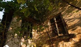 Zdjęcie opuszczonego miejsca: Mały dworek pod Michałowem