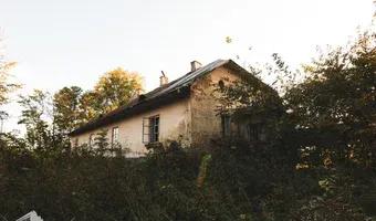 Zdjęcie opuszczonego miejsca: Mały dworek pod Michałowem