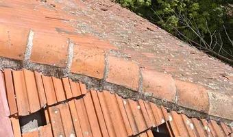 Zdjęcie opuszczonego miejsca: Opuszczony młyn i spichlerz