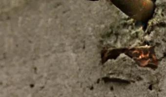 Zdjęcie opuszczonego miejsca: Wieża