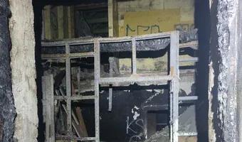 Zdjęcie opuszczonego miejsca: Spalone domy w parku