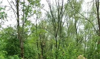 Zdjęcie opuszczonego miejsca: Spalone domy w parku