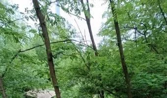 Zdjęcie opuszczonego miejsca: opuszczona strzelnica