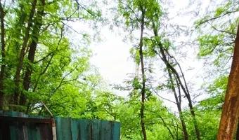 Zdjęcie opuszczonego miejsca: opuszczona strzelnica