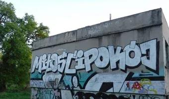 Zdjęcie opuszczonego miejsca: Opuszczony dom w stanie surowym