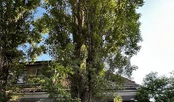 Zdjęcie opuszczonego miejsca: Ruiny przy Bokserskiej