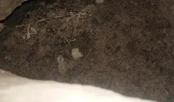 Zdjęcie opuszczonego miejsca: Kopalnia fosforytów w Annopolu