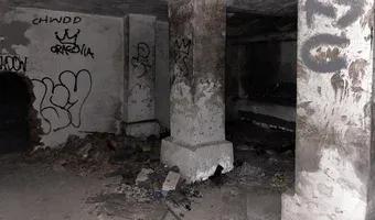 Zdjęcie opuszczonego miejsca: Opuszczony Dworek Badenich