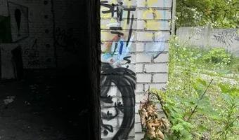 Zdjęcie opuszczonego miejsca: Organika