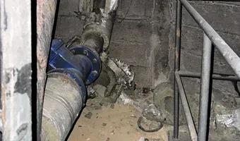 Zdjęcie opuszczonego miejsca: Organika