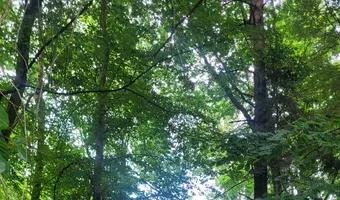 Zdjęcie opuszczonego miejsca: Ruiny kopalni Augusta