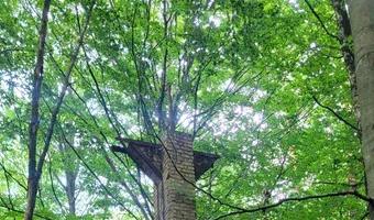 Zdjęcie opuszczonego miejsca: Ruiny kopalni Augusta