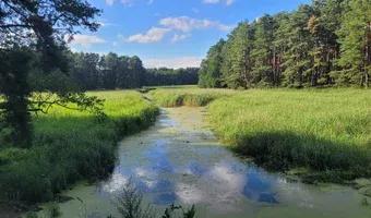 Zdjęcie opuszczonego miejsca: Jaz S 617