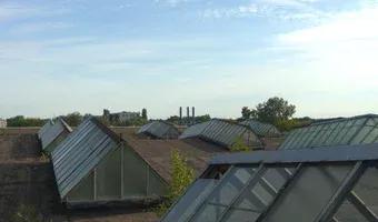 Zdjęcie opuszczonego miejsca: Hala fabryczna