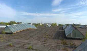 Zdjęcie opuszczonego miejsca: Hala fabryczna