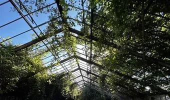 Zdjęcie opuszczonego miejsca: Opuszczona szklarnia