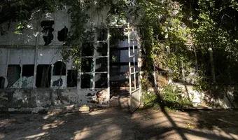 Zdjęcie opuszczonego miejsca: Opuszczona szklarnia