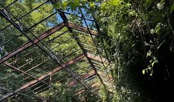 Zdjęcie opuszczonego miejsca: Opuszczona szklarnia