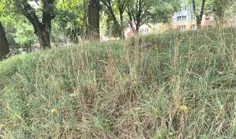 Zdjęcie opuszczonego miejsca: Schrony przy kościele.