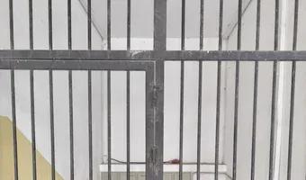 Zdjęcie opuszczonego miejsca: Opuszczone piwniczne WC.