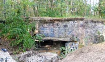 Zdjęcie opuszczonego miejsca: Bunkier Regelbau120a