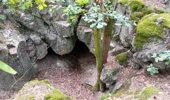 Zdjęcie opuszczonego miejsca: Bunkier Regelbau120a