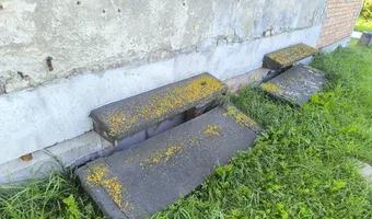 Zdjęcie opuszczonego miejsca: Opuszczona willa Grundenberg.