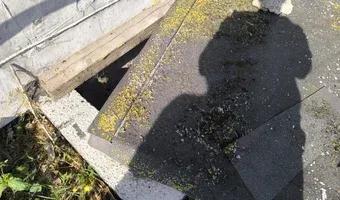 Zdjęcie opuszczonego miejsca: Opuszczona willa Grundenberg.