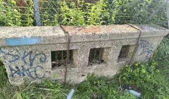 Zdjęcie opuszczonego miejsca: Opuszczona willa Grundenberg.