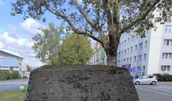 Zdjęcie opuszczonego miejsca: Schrony przy galerii Turzyn.