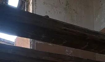 Zdjęcie opuszczonego miejsca: Ruiny Folwarku