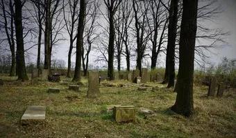Zdjęcie opuszczonego miejsca: Cmentarz Żydowski