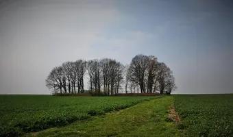 Zdjęcie opuszczonego miejsca: Cmentarz Żydowski