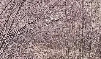 Zdjęcie opuszczonego miejsca: Opuszczone działki