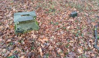 Zdjęcie opuszczonego miejsca: Opuszczony cmentarzyk rodziny Belianów/Grzymałów