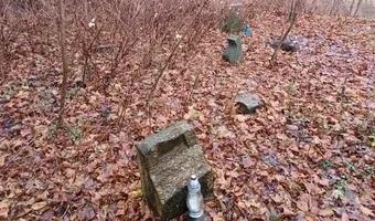 Zdjęcie opuszczonego miejsca: Opuszczony cmentarzyk rodziny Belianów/Grzymałów