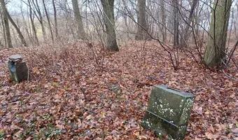 Zdjęcie opuszczonego miejsca: Opuszczony cmentarzyk rodziny Belianów/Grzymałów