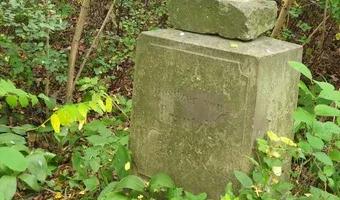 Zdjęcie opuszczonego miejsca: Opuszczony cmentarzyk rodziny Belianów/Grzymałów