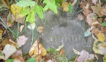 Zdjęcie opuszczonego miejsca: Opuszczony cmentarzyk rodziny Belianów/Grzymałów