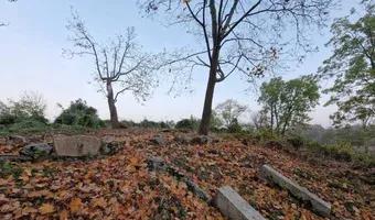 Zdjęcie opuszczonego miejsca: Stary opuszczony  cmentarz Niemiecki (Niemiec)