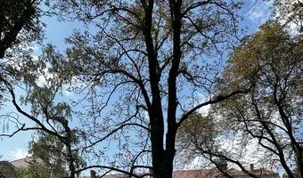 Zdjęcie opuszczonego miejsca: Oddział chirurgiczno-ortopedyczny, Katowice